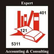 Logo EXPERT ACCOUNTING & CONSULTING