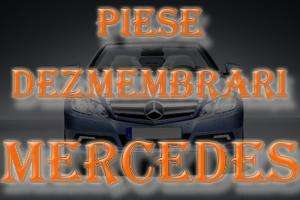 Logo PIESE MERCEDES