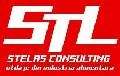 Logo STELAS CONSULTING