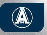 Logo ANGHEL N.G.