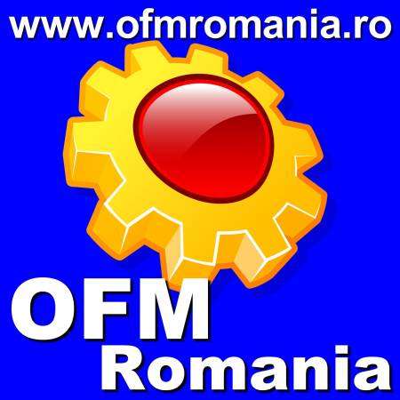 Logo OEM TOP LINE ROMANIA