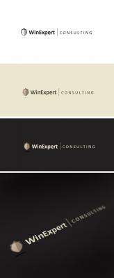 Logo WIN EXPERT CONSULTING