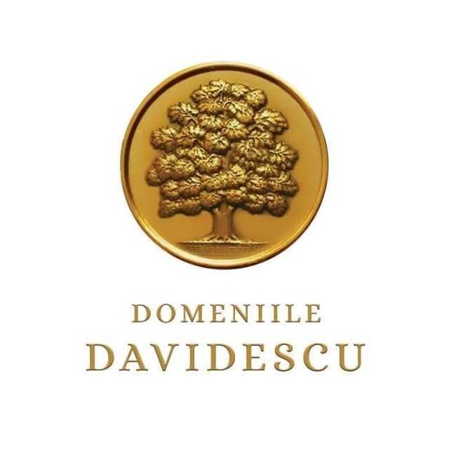 Logo DOMENIILE DAVIDESCU