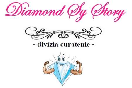 Logo DIAMOND SY STORY