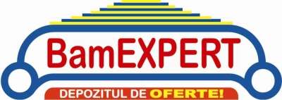 Logo BAMEX MOB