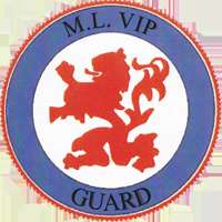 Logo ML VIP GUARD