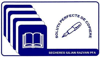 Logo SECHERES IULIAN-RAZVAN