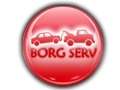 Logo BORG SERV